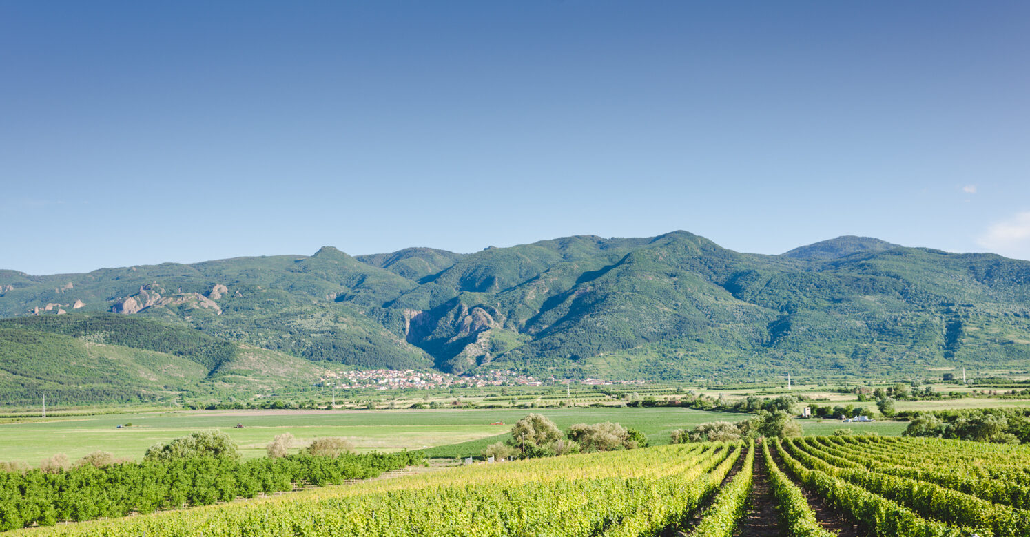 One of the vineyard wedding destinations in Bulgaria, Villa Yustina with mountain views